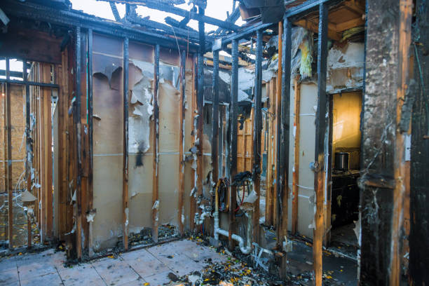 Professional Smoke Damage Removal technician working in Bellevue, WA
