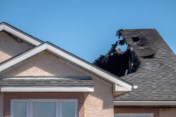 Top rated local Smoke Damage Removal specialists in Bellevue, WA